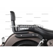 Spatar SHAD K0SP12SN Sissy Bar