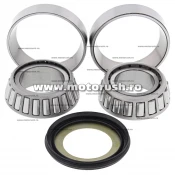 Kit rulmenti de jug All Balls Racing 22-1056
