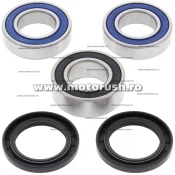 Kit rulmenti si simeringuri roata spate All Balls Racing 25-1420