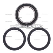 Kit rulmenti si simeringuri roata All Balls Racing 25-1630 upgrade