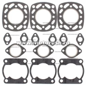 Kit garnituri motor TOP END WINDEROSA 710109A