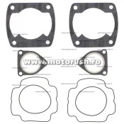 Kit garnituri motor TOP END WINDEROSA 710139A