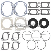 Kit complet garnituri si simeringuri motor WINDEROSA 711023C