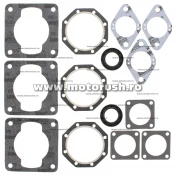 Kit complet garnituri si simeringuri motor WINDEROSA 711042