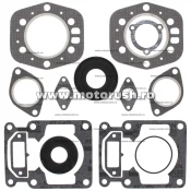 Kit complet garnituri si simeringuri motor WINDEROSA 711063A