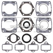Kit complet garnituri si simeringuri motor WINDEROSA 711106AE