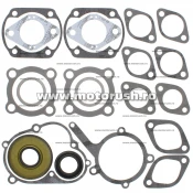 Kit complet garnituri si simeringuri motor WINDEROSA 711139