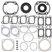 Kit complet garnituri si simeringuri motor WINDEROSA 711162C