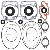 Kit complet garnituri si simeringuri motor WINDEROSA 711163B