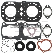 Kit complet garnituri si simeringuri motor WINDEROSA 711187