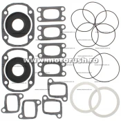 Kit complet garnituri si simeringuri motor WINDEROSA 711196