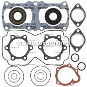Kit complet garnituri si simeringuri motor WINDEROSA 711209
