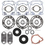 Kit complet garnituri si simeringuri motor WINDEROSA 711218
