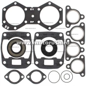 Kit complet garnituri si simeringuri motor WINDEROSA 711238