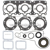 Kit complet garnituri si simeringuri motor WINDEROSA 711240