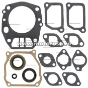 Kit complet garnituri si simeringuri motor WINDEROSA 711263