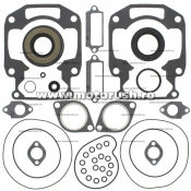 Kit complet garnituri si simeringuri motor WINDEROSA 711267