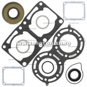 Kit complet garnituri si simeringuri motor WINDEROSA 711268