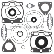 Kit complet garnituri si simeringuri motor WINDEROSA 711282