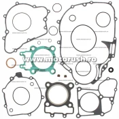Kit complet garnituri WINDEROSA 808803