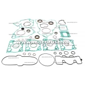 Kit complet garnituri si simeringuri motor WINDEROSA 8110010