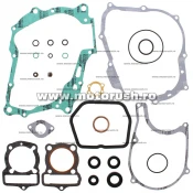 Kit complet garnituri si simeringuri motor WINDEROSA 811220