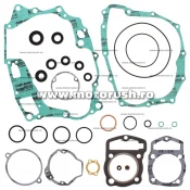 Kit complet garnituri si simeringuri motor WINDEROSA 811240