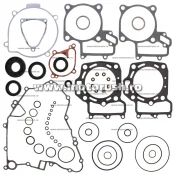 Kit complet garnituri si simeringuri motor WINDEROSA 811366