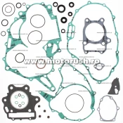 Kit complet garnituri si simeringuri motor WINDEROSA 811801