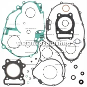 Kit complet garnituri si simeringuri motor WINDEROSA 811802