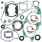 Kit complet garnituri si simeringuri motor WINDEROSA 811814