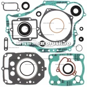 Kit complet garnituri si simeringuri motor WINDEROSA 811819