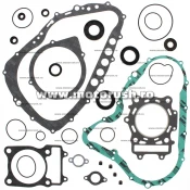 Kit complet garnituri si simeringuri motor WINDEROSA 811828