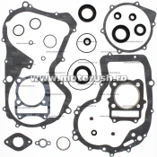 Kit complet garnituri si simeringuri motor WINDEROSA 811832