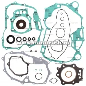 Kit complet garnituri si simeringuri motor WINDEROSA 811859