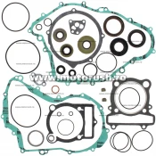 Kit complet garnituri si simeringuri motor WINDEROSA 811861