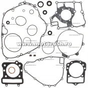Kit complet garnituri si simeringuri motor WINDEROSA 811871