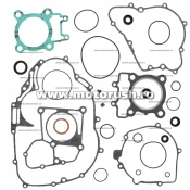 Kit complet garnituri si simeringuri motor WINDEROSA 811874