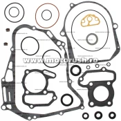 Kit complet garnituri si simeringuri motor WINDEROSA 811878