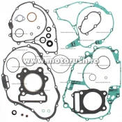 Kit complet garnituri si simeringuri motor WINDEROSA 811900