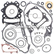 Kit complet garnituri si simeringuri motor WINDEROSA 811923