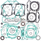 Kit complet garnituri si simeringuri motor WINDEROSA 811956