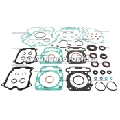 Kit complet garnituri si simeringuri motor WINDEROSA 811982