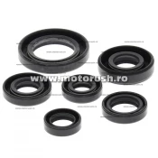 Kit simeringuri ulei motor WINDEROSA 822146