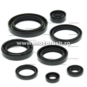 Kit simeringuri ulei motor WINDEROSA 822157