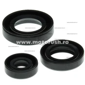 Kit simeringuri ulei motor WINDEROSA 822199