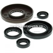 Kit simeringuri ulei motor WINDEROSA 822208