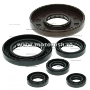 Kit simeringuri ulei motor WINDEROSA 822209