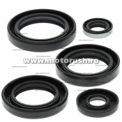 Kit simeringuri ulei motor WINDEROSA 822213