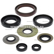 Kit simeringuri ulei motor WINDEROSA 822218
